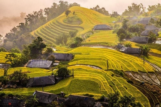 Ruộng bậc thang Hoàng Su Phì - bức họa tuyệt mỹ nơi địa đầu Tổ quốc