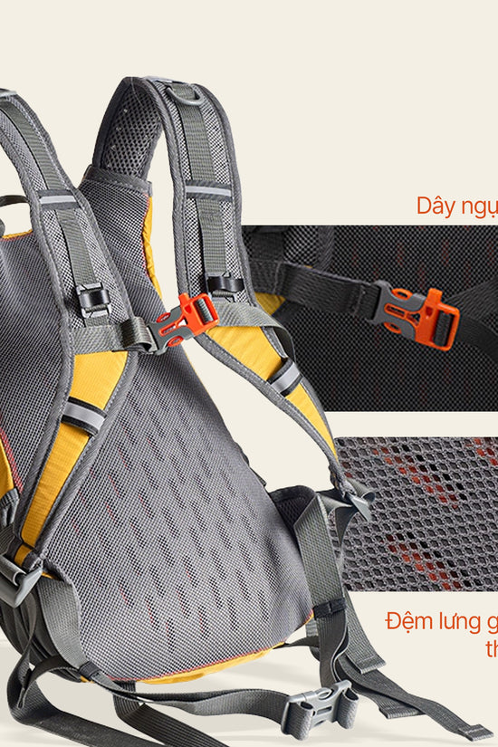 Balo dã ngoại thể thao Seeker - 20L, gọn nhẹ cho chuyến đi ngắn ngày