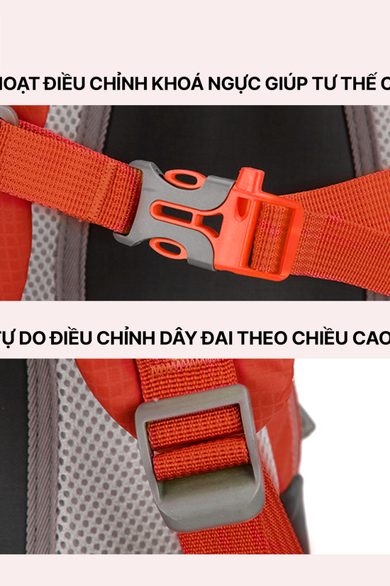 Balo dã ngoại thể thao Rover - 30L, nhiều ngăn, năng động và thoải mái